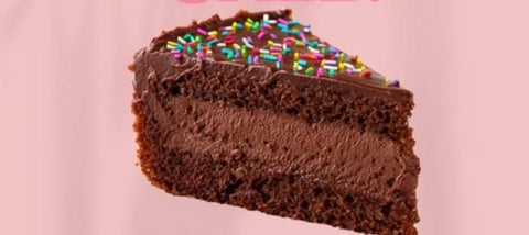 Chocolate cake slice